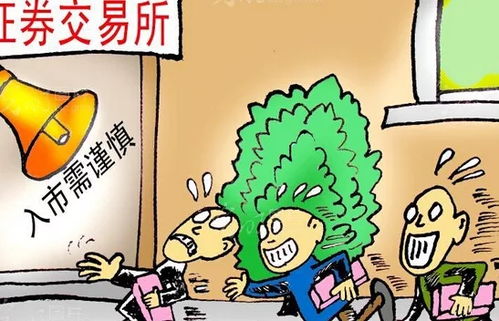 牛散孵化記錄 借錢投資的陷阱與自有資金的力量